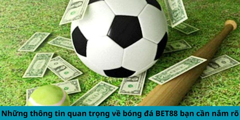 Những thông tin quan trọng về bóng đá BET88 bạn cần nắm rõ