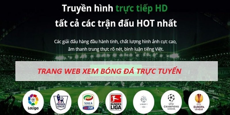 Đường link theo dõi trận đấu thuộc nhiều giải chuyên nghiệp tại kênh Trực tiếp bóng đá BET88 